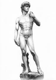 david